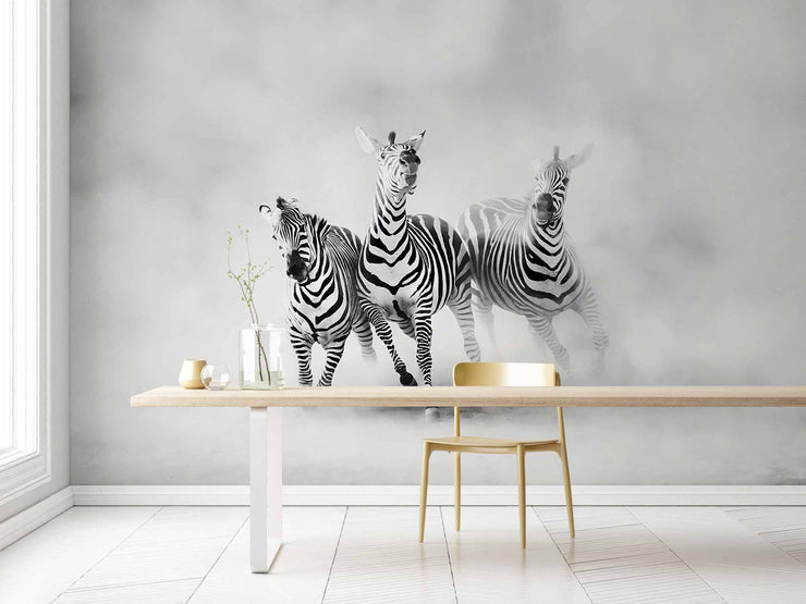 Photo Wallpaper Zebras