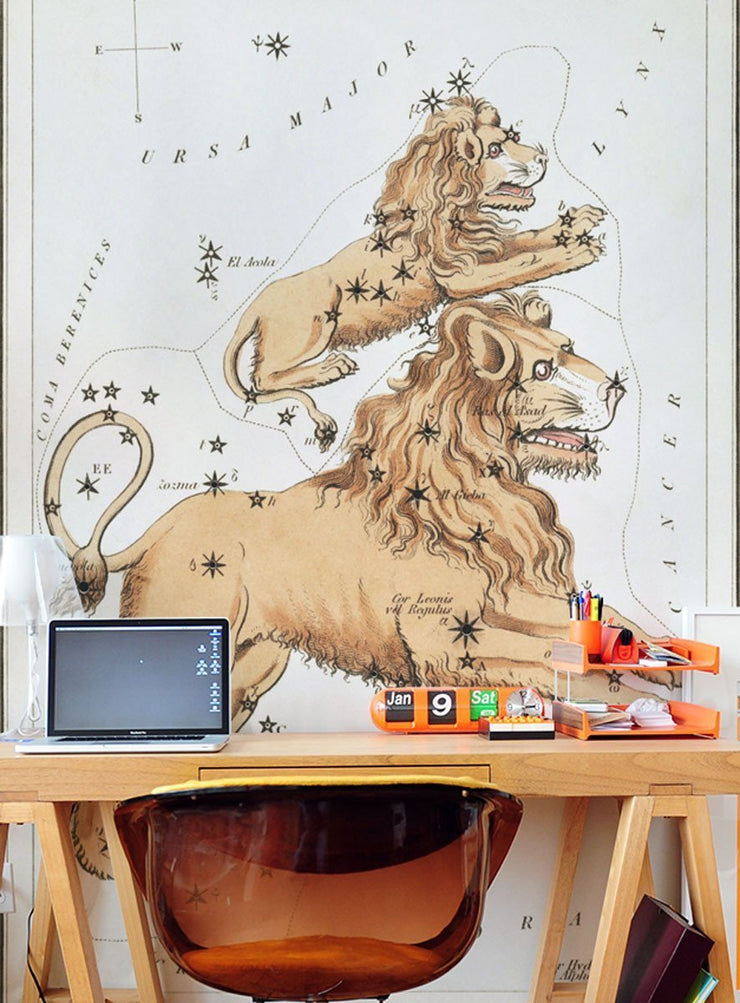 Leo Wall Mural-astrology-Eazywallz