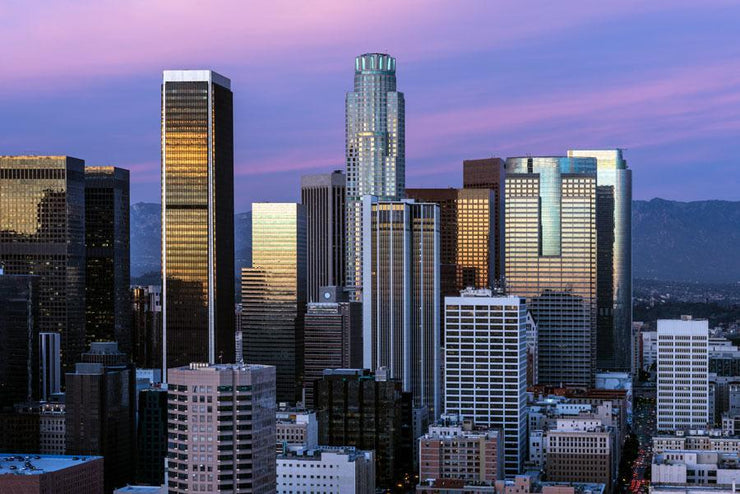 Los Angeles Skyline Mural Wallpaper-Cityscapes-Eazywallz