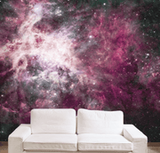 Pink Cosmos Wall Mural-Space-Eazywallz