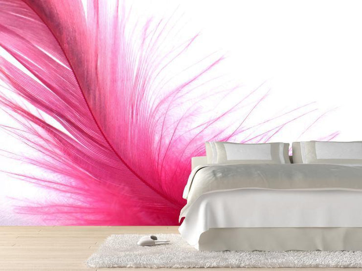 Pink feather Wall Mural-Animals & Wildlife,Macro,Textures-Eazywallz