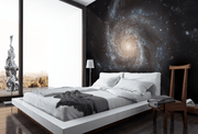 Pinwheel Galaxy Wall Mural-Space-Eazywallz