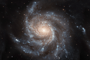 Pinwheel Galaxy Wall Mural-Space-Eazywallz