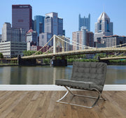 Pittsburgh Skyline Wall Mural-Cityscapes-Eazywallz