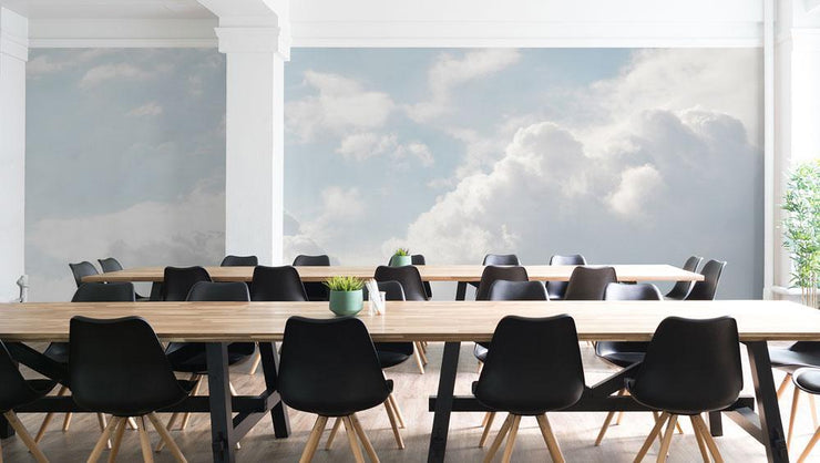 Soft White Clouds Mural Wallpaper-Landscapes & Nature-Eazywallz