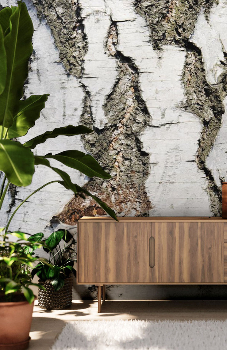 Birch Bark Wallpaper Mural