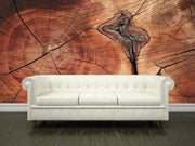 Tree ring texture Wall Mural-Textures-Eazywallz