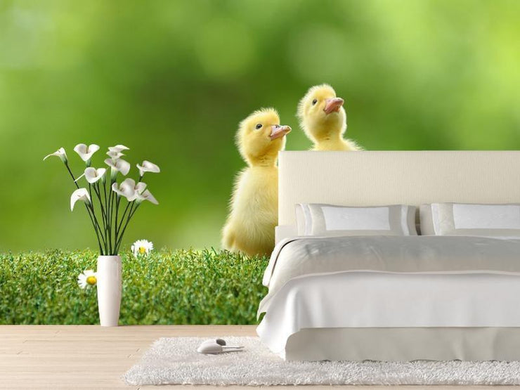 Two ducks Wall Mural-Animals & Wildlife-Eazywallz