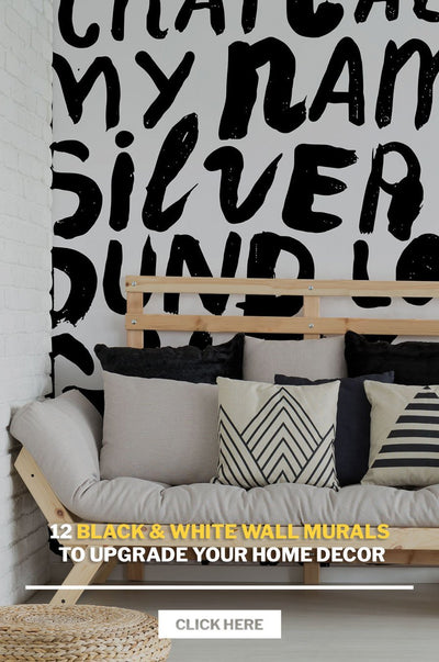 12 Black & White Wall Murals to Upgrade your Home Decor [Complete List]
