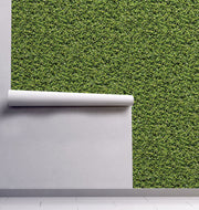 Evergreen Wallpaper