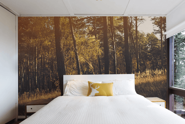 Afternoon Autumn Forest Wall Mural-Landscapes & Nature-Eazywallz