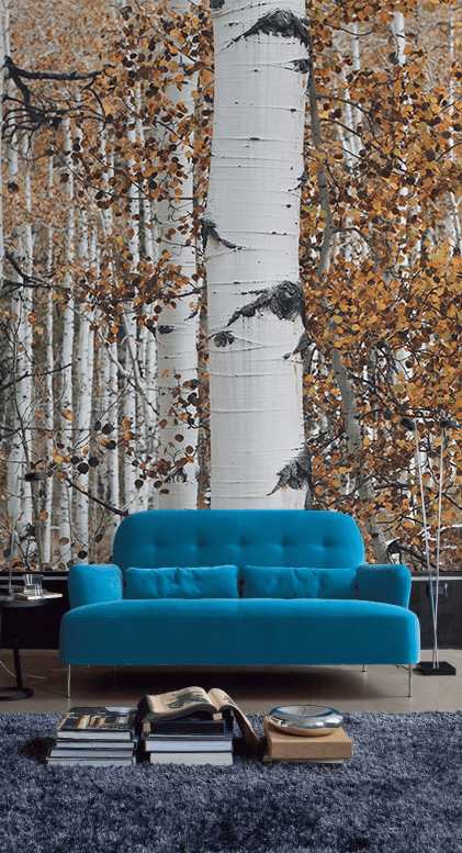 Autumn Forest Wall Mural-Landscapes & Nature-Eazywallz