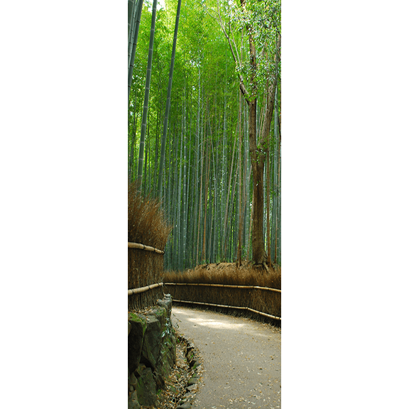 Bamboo Forest Walkway Door Mural-Landscapes & Nature-Eazywallz