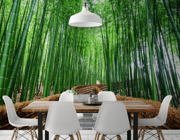 Bamboo grove Wall Mural-Landscapes & Nature,Zen-Eazywallz
