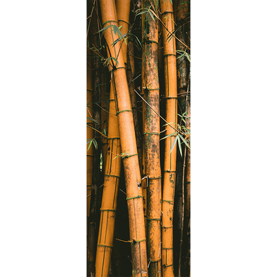 Bamboo Stalks Door Mural-Landscapes & Nature-Eazywallz