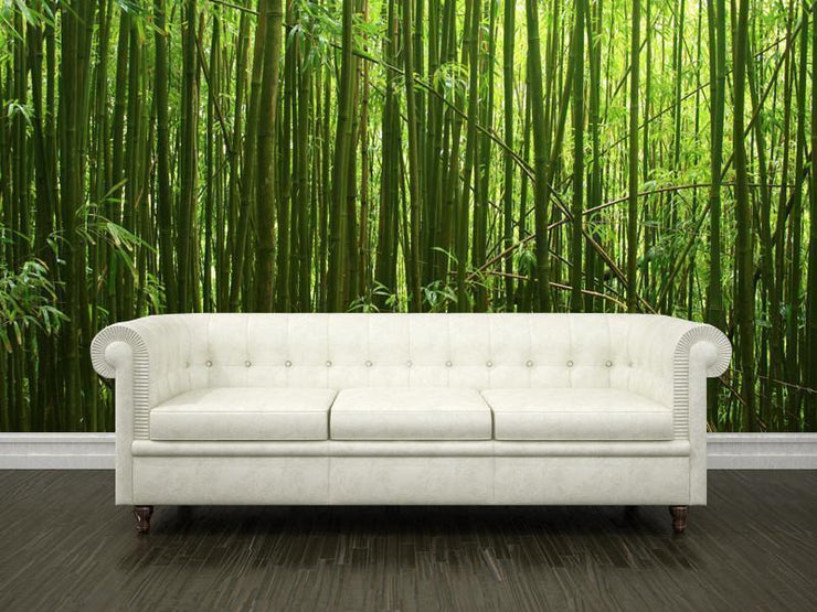 Bamboo stalks Wall Mural-Landscapes & Nature,Zen-Eazywallz