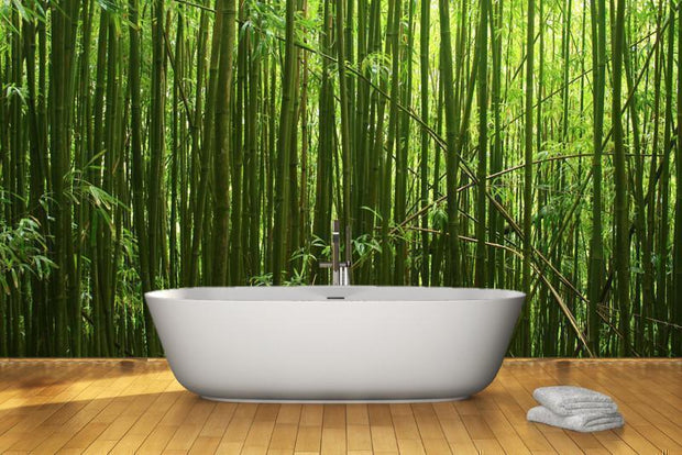 Bamboo stalks Wall Mural-Landscapes & Nature,Zen-Eazywallz