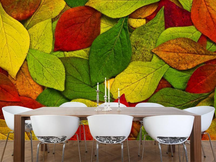 Beautiful leaves Wall Mural-Textures-Eazywallz