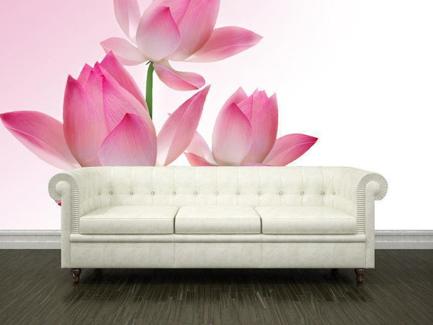 Beautiful lotus Wall Mural-Florals,Featured Category of the Month-Eazywallz