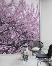 Blossom Tree Wall Mural-Florals,Featured Category of the Month-Eazywallz