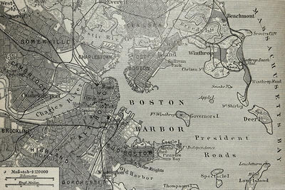 Boston Harbor Map Wall Mural-Maps-Eazywallz