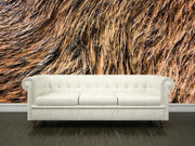 Brown bear fur texture Wall Mural-Animals & Wildlife,Textures-Eazywallz