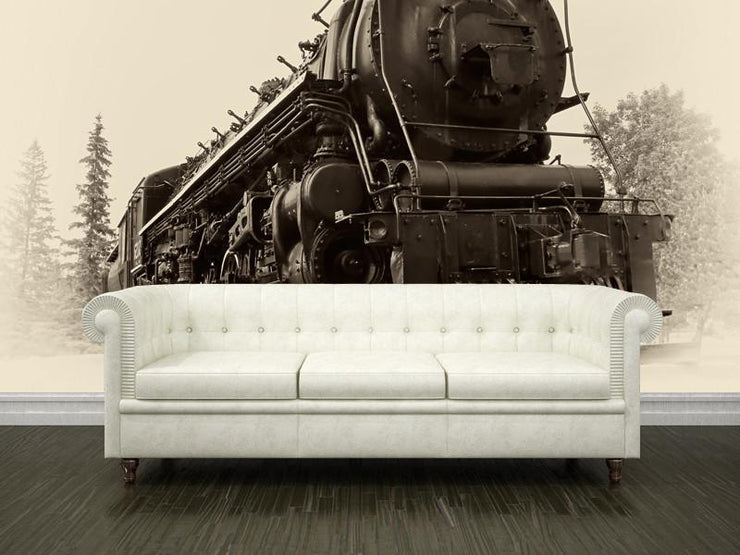 Canadian steam train Wall Mural-Transportation,Vintage-Eazywallz