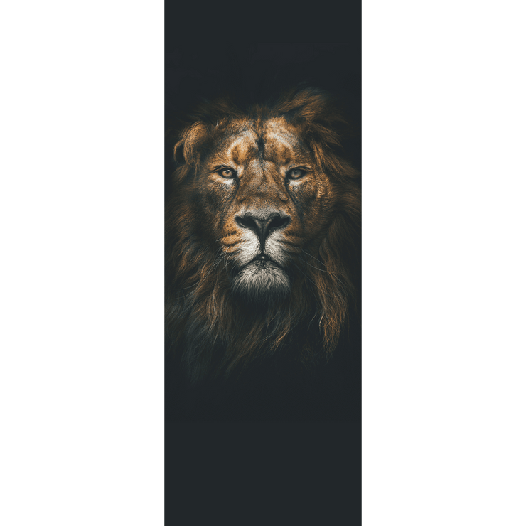 Dark Lion Head Door Mural-Animals & Wildlife,Black & White-Eazywallz