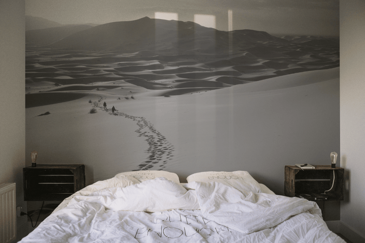 Desert Trail Wall Mural-Landscapes & Nature-Eazywallz