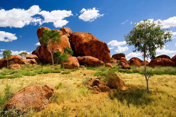 Devils Marbles in Northern Territory Wall Mural-Landscapes & Nature-Eazywallz