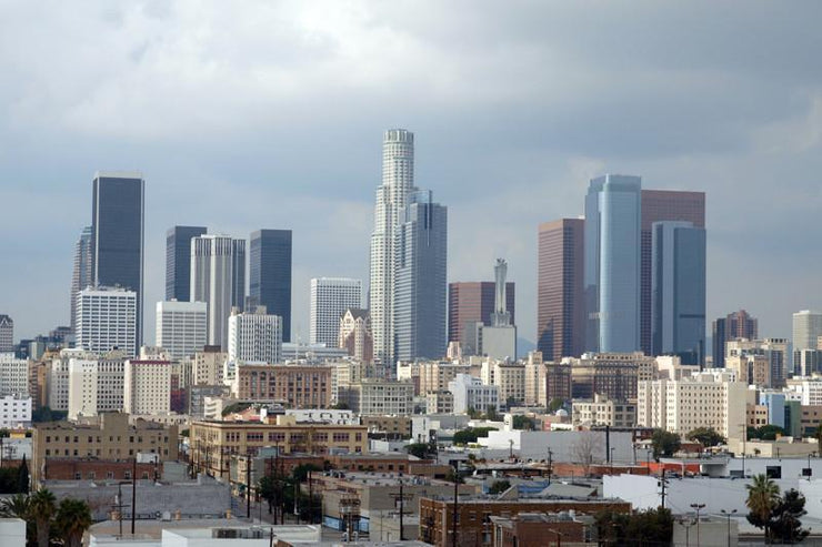 Downtown Los Angeles Wall Mural-Cityscapes-Eazywallz