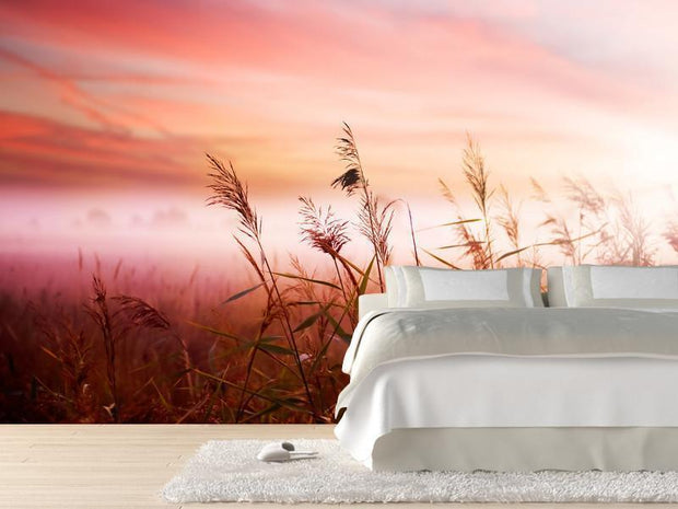 Early Morning Mist Wall Mural-Florals,Landscapes & Nature,Featured Category of the Month-Eazywallz