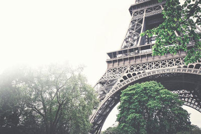 Eiffel Tower Close up Wall Mural-Buildings & Landmarks-Eazywallz