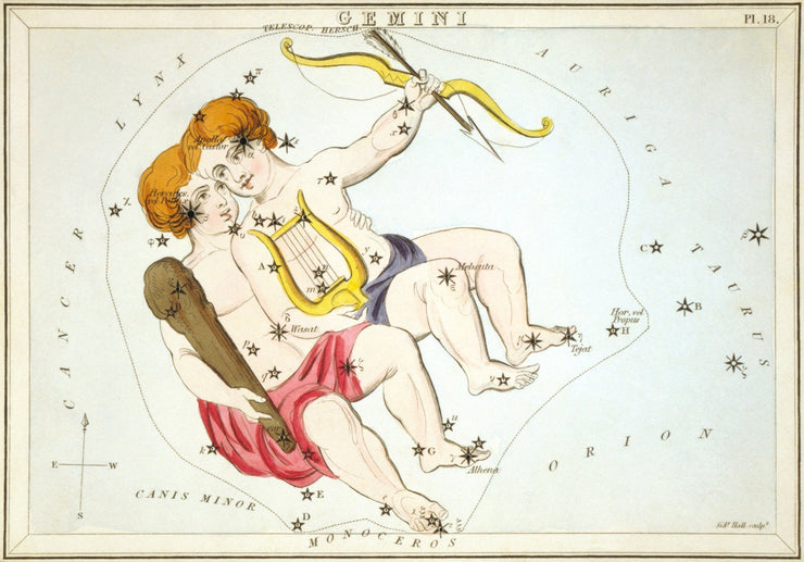 Gemini Wall Mural-astrology-Eazywallz