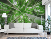 Green bamboo forest Wall Mural-Landscapes & Nature,Zen-Eazywallz