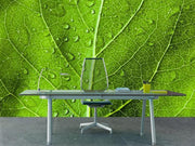 Green leaf texture Wall Mural-Macro,Textures-Eazywallz