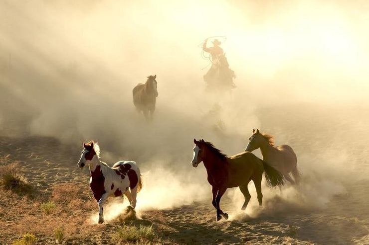 Horses and cowboy Wall Mural-Animals & Wildlife-Eazywallz