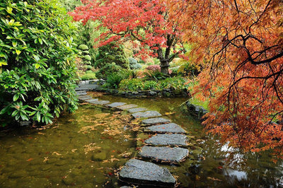 Japanese Garden Wall Mural-Landscapes & Nature,Zen-Eazywallz
