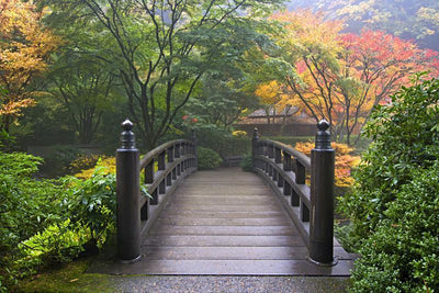 Japanese Wooden Bridge wall Mural Wall Mural-Zen,Landscapes & Nature-Eazywallz