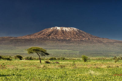 Kilimanjaro, Kenya Wall Mural-Buildings & Landmarks,Landscapes & Nature-Eazywallz