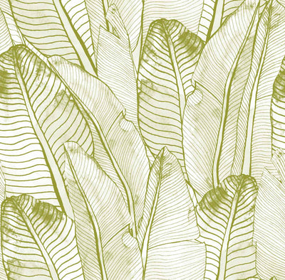Watercolor Leaf a Souvenir Wallpaper