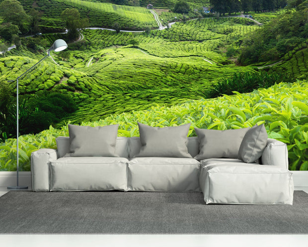 Malaysian Tea Plantation Wall Mural-Landscapes & Nature-Eazywallz