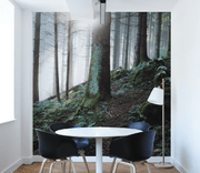 Mist in the woods Wall Mural-Landscapes & Nature-Eazywallz