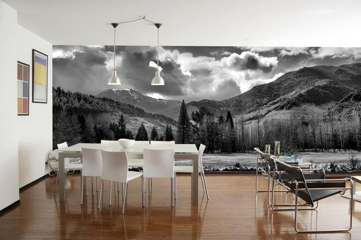 Mountain Range in New Zealand Wall Mural-Black & White,Landscapes & Nature,Panoramic-Eazywallz