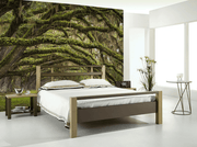 Oak Tree Forest Wall Mural-Landscapes & Nature-Eazywallz