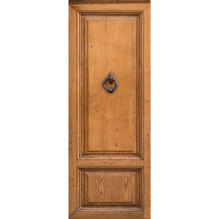 Old Wooden Door Mural 2-door-Eazywallz