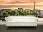 On the Seine river in Paris Wall Mural-Buildings & Landmarks,Cityscapes-Eazywallz