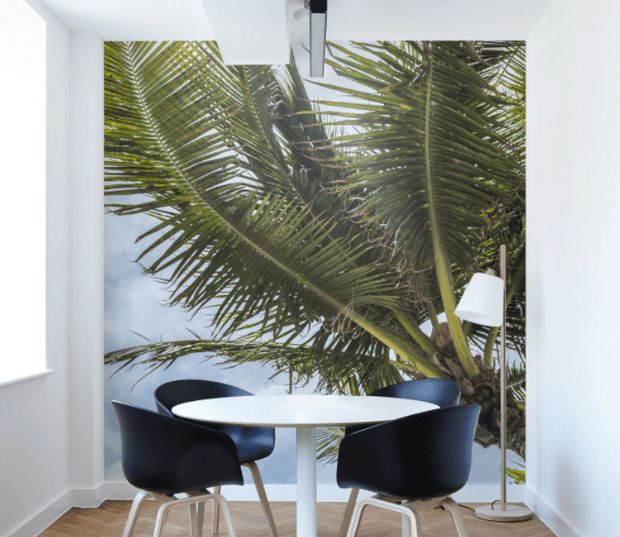 Palm Tree & Sky Wall Mural-Tropical & Beach-Eazywallz