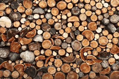 Pile of Chopped Fire Wood Wall Mural-Landscapes & Nature,Textures-Eazywallz
