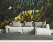 Pine Forest View Wall Mural-Landscapes & Nature-Eazywallz